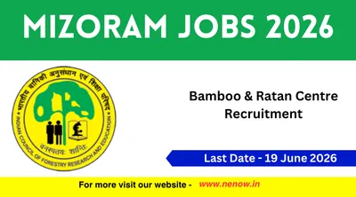 mizoram jobs 2026   bamboo  amp  rattan centre recruitment
