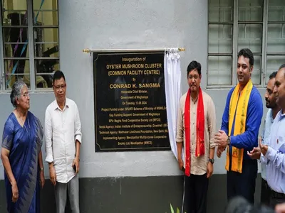 ne india’s biggest oyster mushroom processing plant launched in meghalaya