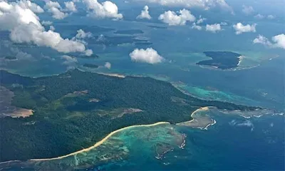 international container transshipment port and the destruction of nature