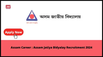 assam career   assam jatiya bidyalay recruitment 2024