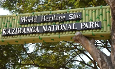 assam scraps kaziranga national park expansion  9th addition cancelled