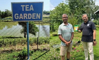 assam university brews history with launch of ‘aurganic tea’