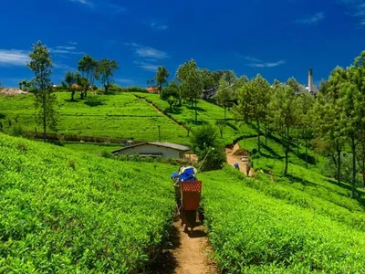 10 breathtaking tea tourism sites of assam