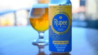 story of two brothers  how rupee beer co is adding india touch to ipa