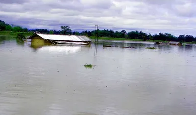 assam  iit expert visits dibrugarh to address artificial floods