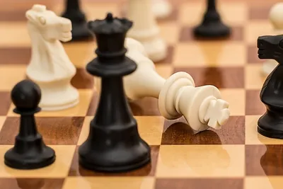 chess  goa to host fide world cup