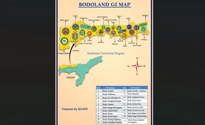 btr’s gi revolution  how 21 tags  empowering assam s indigenous communities