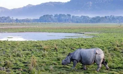 assam  10 km kaziranga esz provision remains until state issues notification  says sarma