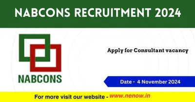 nabcons recruitment 2024   apply for consultant vacancy