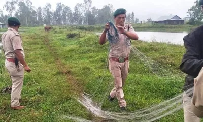 manipur forest division seizes 16 bird traps in loktak lake anti poaching drive