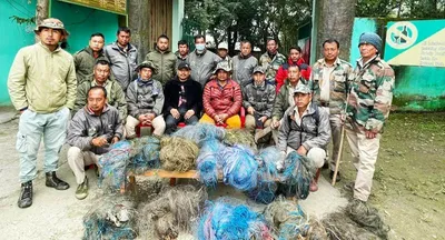 manipur  loktak s winged visitors face peril as bird trapping activities escalate