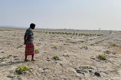 sikkim flood devastates farming   fishing in north bengal