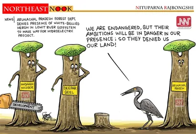 northeast nook  cartoon by nituparna rajbongshi  may 10  2026