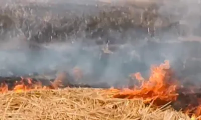 assam  fire breaks out in duliajan’s duliagaon pathar  safety review underway