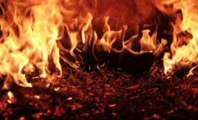 assam  massive fire guts stationery shop in nalbari