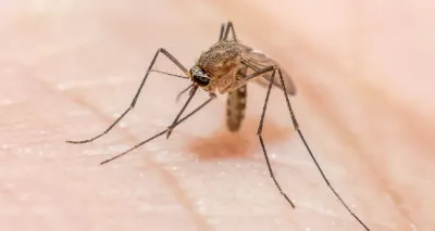 arunachal declares 19 districts malaria free  targets elimination by 2027