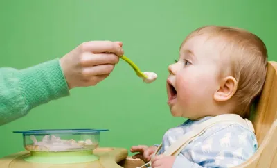 is organic baby food really better  experts explain