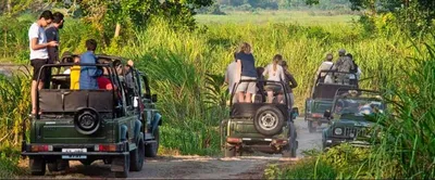 assam  jeep safari at kaziranga s kohora range  to remain shut for pm modi’s visit
