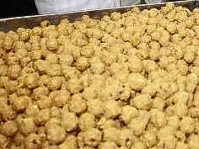 tirupati laddu controversy  animal fat found in ghee  sparks outrage