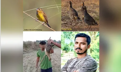 assam  grassland becomes sanctuary for endangered birds with horticulturist’s efforts