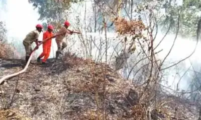 windstorm sparks wildfires in kohima  wreaks havoc across nagaland