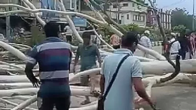 manipur  half century old tree uprooted in imphal