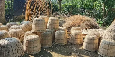 climate change  fuel price hike deepen assam tea workers’ crisis