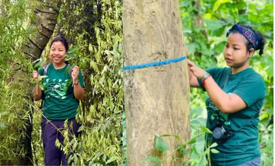assam conservationist raktima basumatary launches project to protect khasi holly in meghalaya