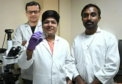 assam  iitg researchers use microfluidics to study improved crop yields