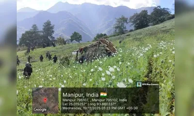 ncb–assam rifles destroy 110 acres of illicit poppy fields in manipur’s hill districts