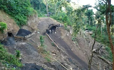assam  illegal rat hole mining continues in ledo despite ngt ban