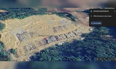 centre seeks action report in assam forest land diversion case involving ex forest chief