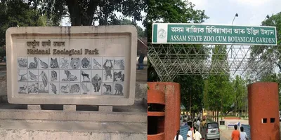 delhi zoo suspends animal exchange with assam amid rising temperatures
