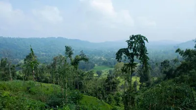 tribal groups flag large scale corporate land transfers in assam s karbi anglong and dima hasao