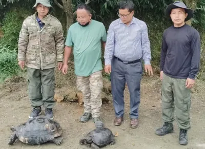 manipur  villagers rescue two endangered tortoises in tamenglong district