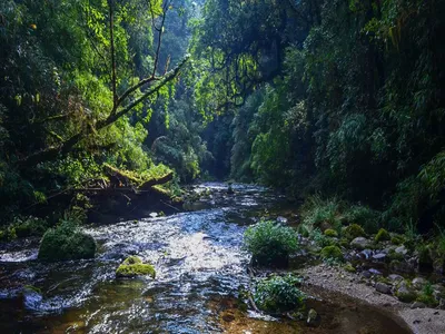 4 enchanting lesser known lakes of arunachal pradesh
