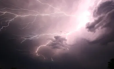 assam college student dies after being struck by lightning