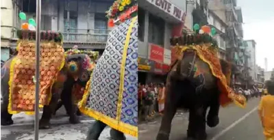 chaos at rath yatra  elephant disturbed by noise  injures two in ahmedabad