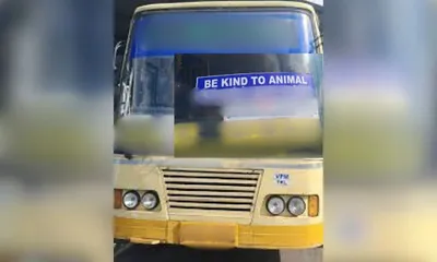 sikkim govt mandates  be kind to animals  slogan on all public transport vehicles