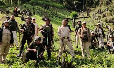 manipur  60 acres of illicit poppy cultivation destroyed along indo myanmar border