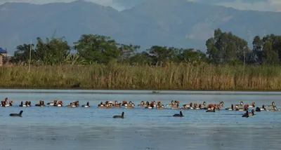 manipur  loktak lake road to be upgraded to connect valley districts