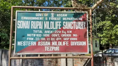 assam  ngt directs ministry of forest to explain inaction on forest encroachment