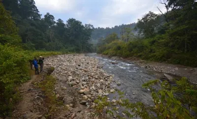 manipur bans camping  trekking and picnicking in reserved forests without permission