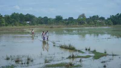 assam floods  different families  one flood and a long journey back to hope