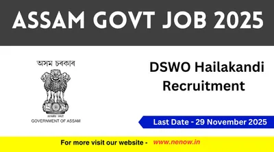 assam govt job 2025   dswo hailakandi recruitment