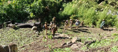 manipur  over 100 hectares of poppy plantations destroyed in ukhrul