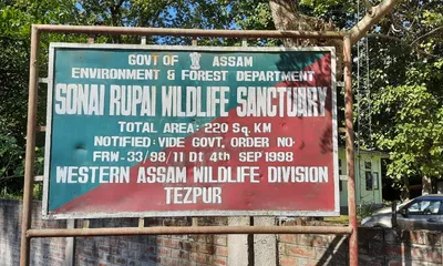 assam adds 18 encroached forest villages to btr amid ngt scrutiny  environmentalists cry foul