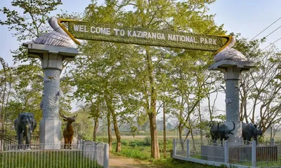 assam  govt permits fishing at kaziranga s sixth addition  sparks controversy