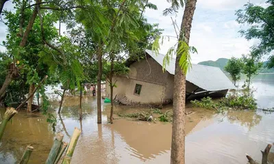 assam  jhanji river breach floods teok  displaces hundreds and submerges villages