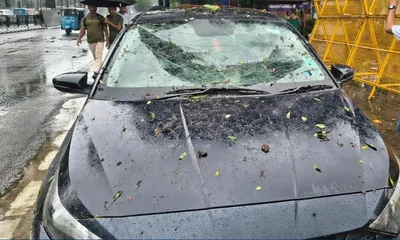 assam  guwahati s monsoon is not just flash floods  but also falling trees